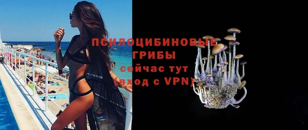 спайс Алексин