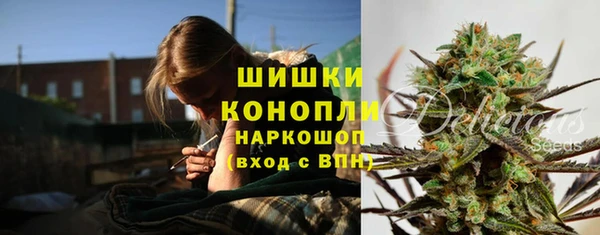спайс Алексин