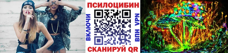 сколько стоит Дрезна Псилоцибиновые грибы мицелий